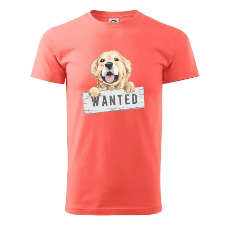 Zlatý retriever - štěně wanted