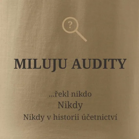Miluju audity řekl nikdo nikdy