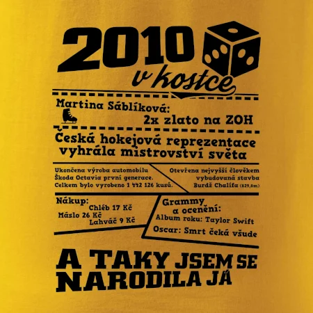 2010 v kostce