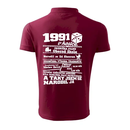 1991 v kostce