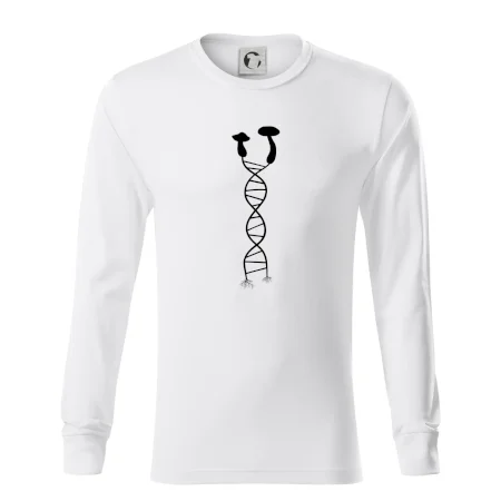 DNA houby