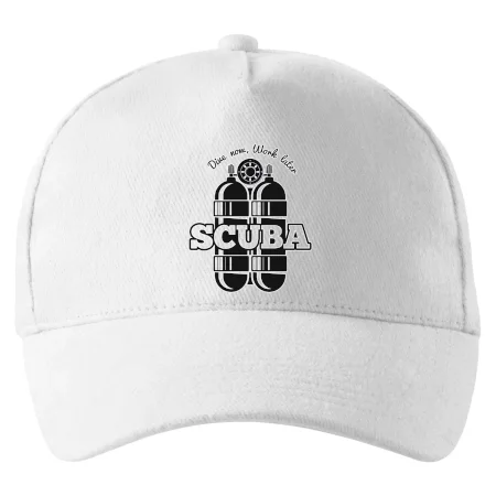 Dive now work later - Scuba