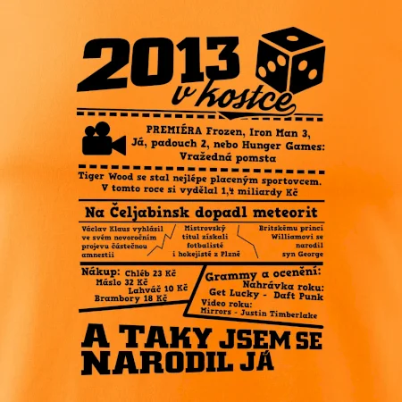 2013 v kostce