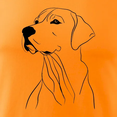 Labrador černá kresba