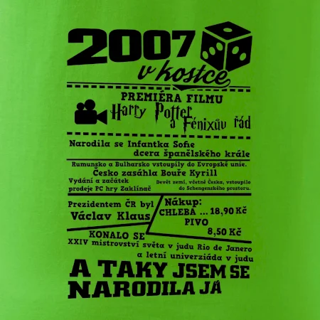 2007 v kostce