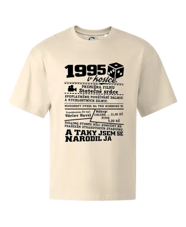 1995 v kostce