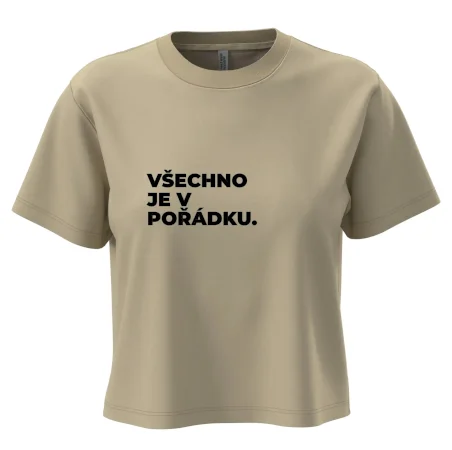 VŠECHNO JE V POŘÁDKU.