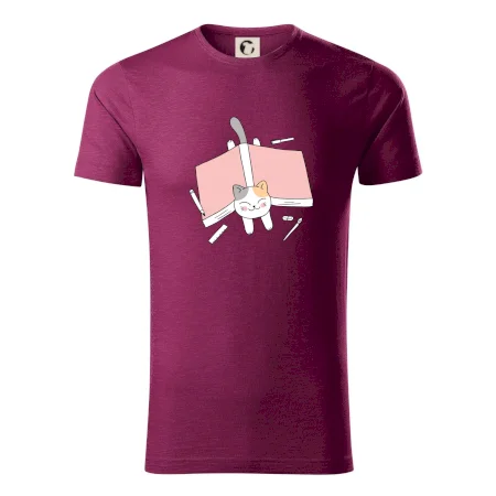 Učení na státnice kočka