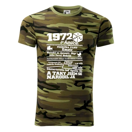 1972 v kostce