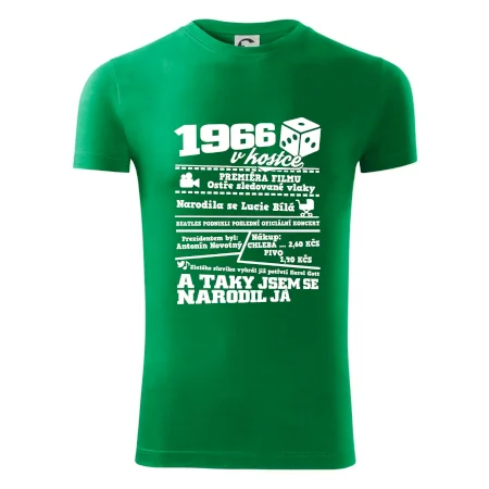 1966 v kostce