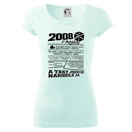 2008 v kostce