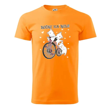 Kočky na kole