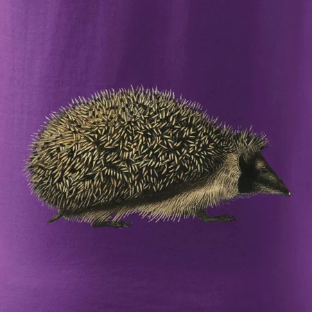 Ježek kresba