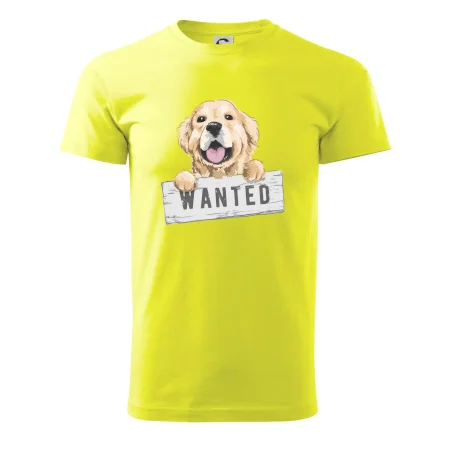 Zlatý retriever - štěně wanted