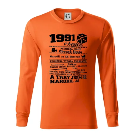 1991 v kostce