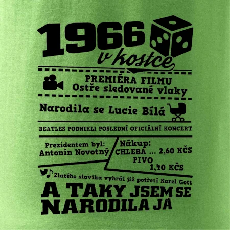 1966 v kostce