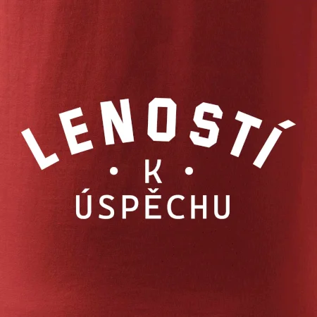 Leností k úspěchu - tiskací