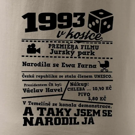 1993 v kostce