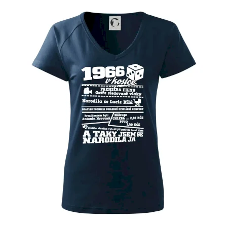 1966 v kostce