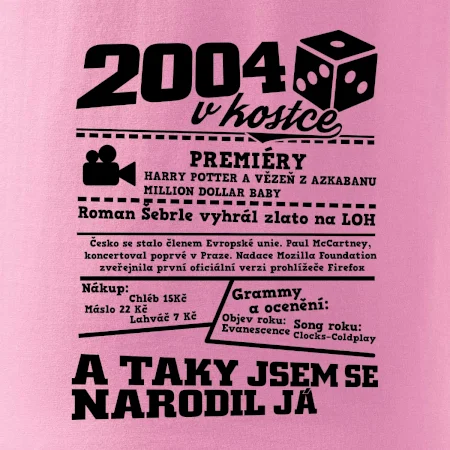 2004 v kostce