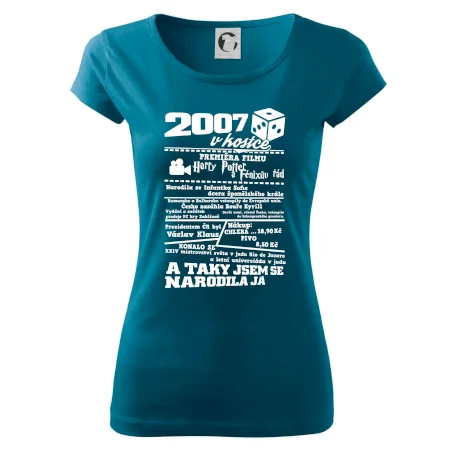 2007 v kostce