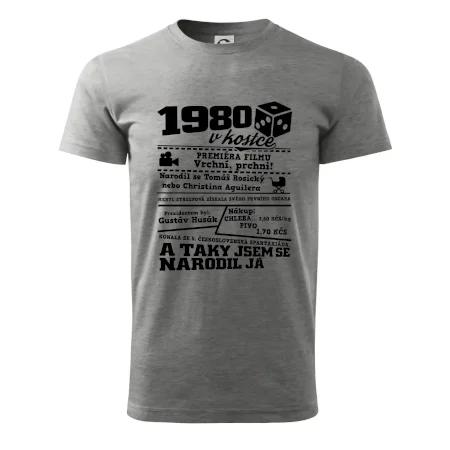1980 v kostce