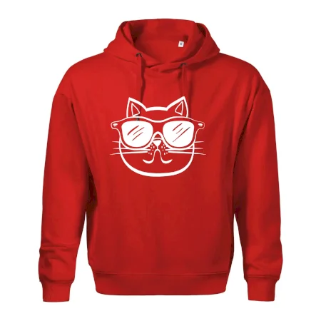Kočka s brýlemi