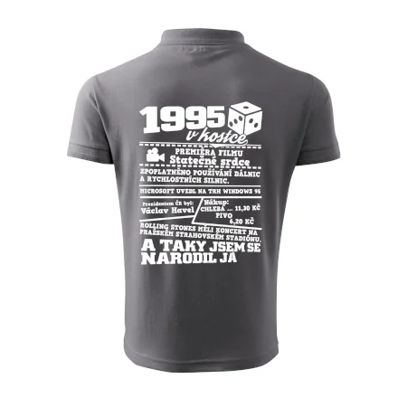 1995 v kostce