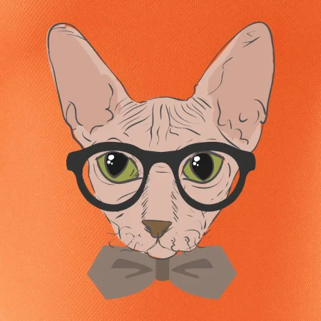 Hipster sphynx