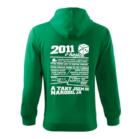 2011 v kostce
