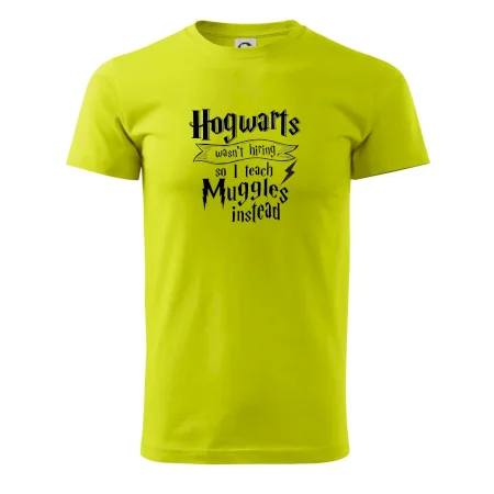 Harry - Hogwarts wasn’t hiring, so I teach Muggles instead