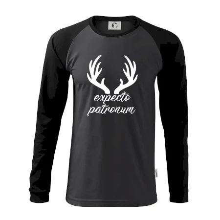 Harry - Expecto patronum