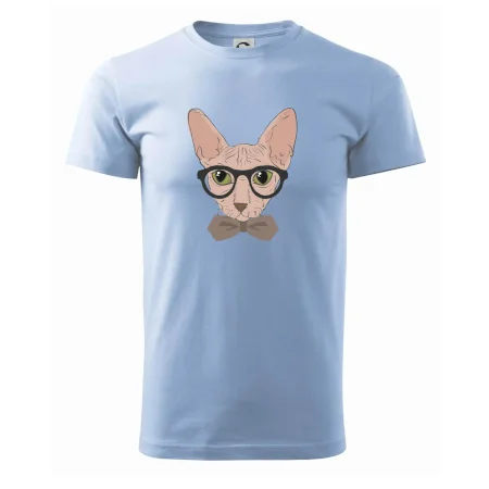 Hipster sphynx