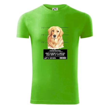 Lump a darebák zlatý retrívr
