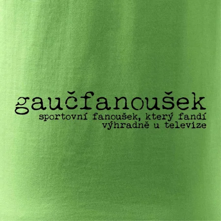 Čeština 2.0 - gaučfanoušek