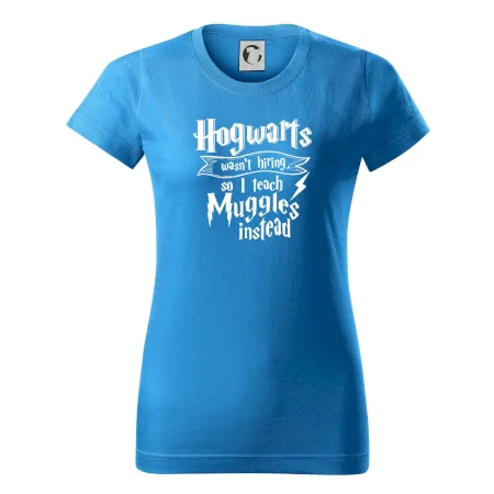 Harry - Hogwarts wasn’t hiring, so I teach Muggles instead
