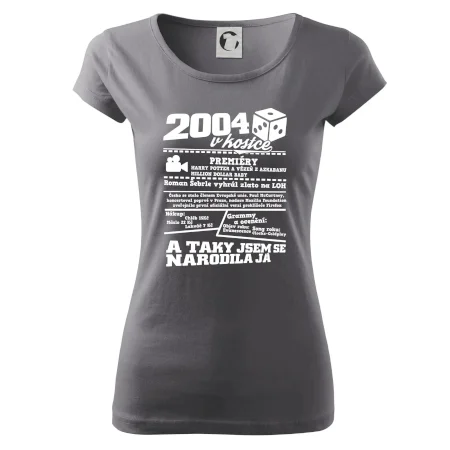 2004 v kostce