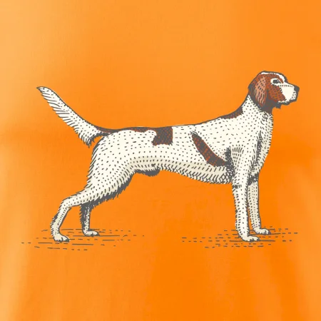 Vintage Setter