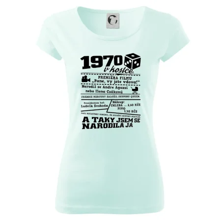 1970 v kostce