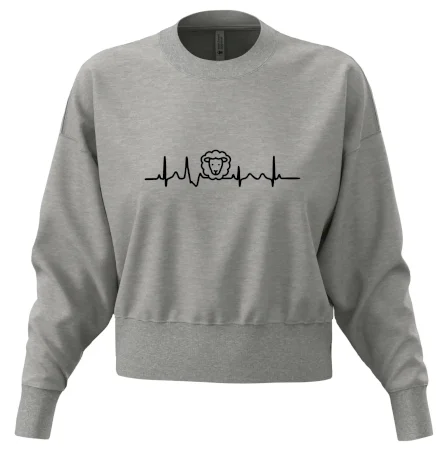 Ekg ovce
