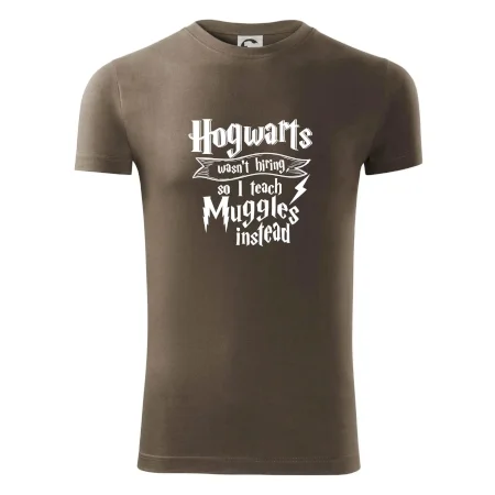 Harry - Hogwarts wasn’t hiring, so I teach Muggles instead