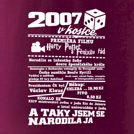 2007 v kostce