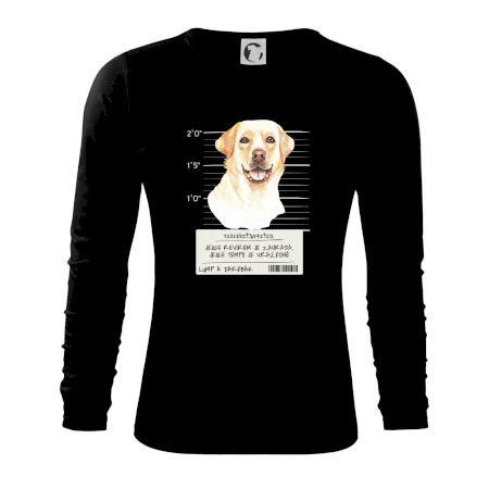 Lump a darebák labrador