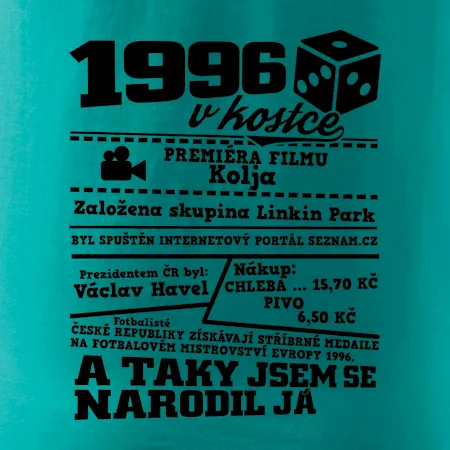 1996 v kostce