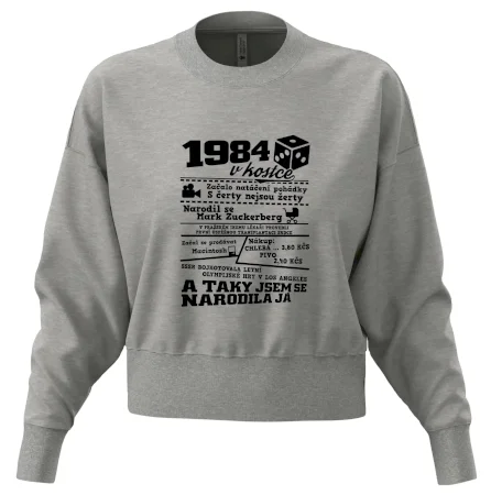1984 v kostce