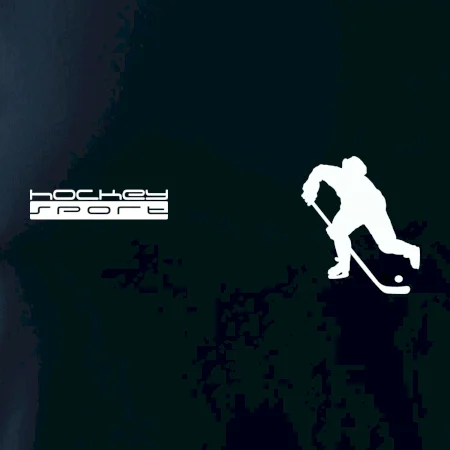 Hockey sport