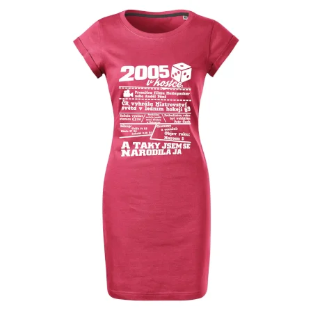 2005 v kostce