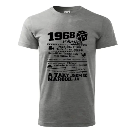 1968 v kostce