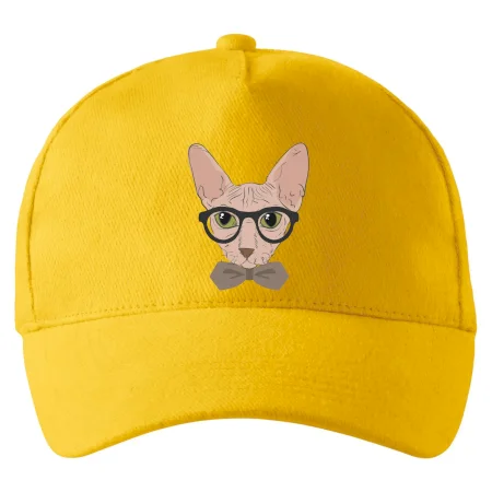 Hipster sphynx