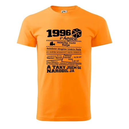 1996 v kostce